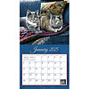 Afbeelding Kalender Love Of Cats 3