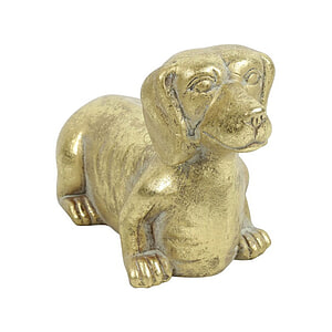 Hond Freggel Goud S