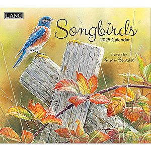 Kalender Songbirds