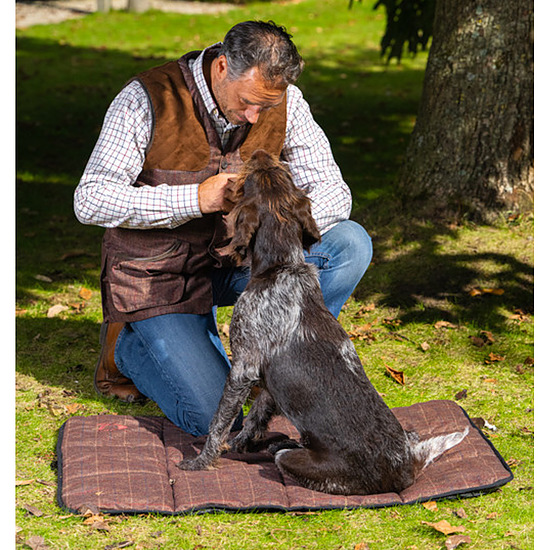 Afbeelding dog bench bed M 2